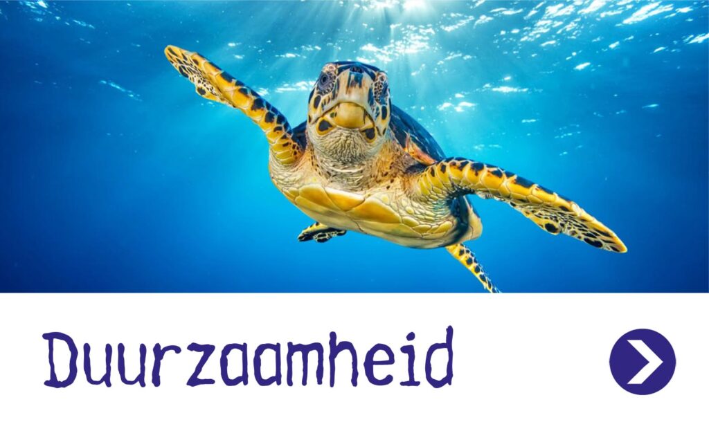 Duurzaamheid