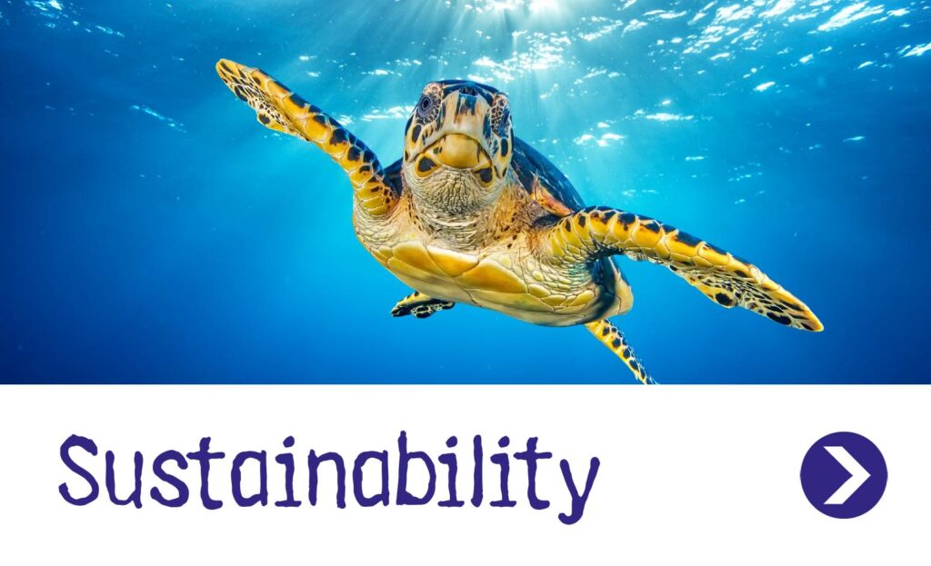 Sustainability