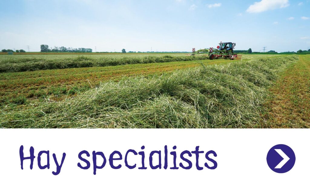 Hay specialists