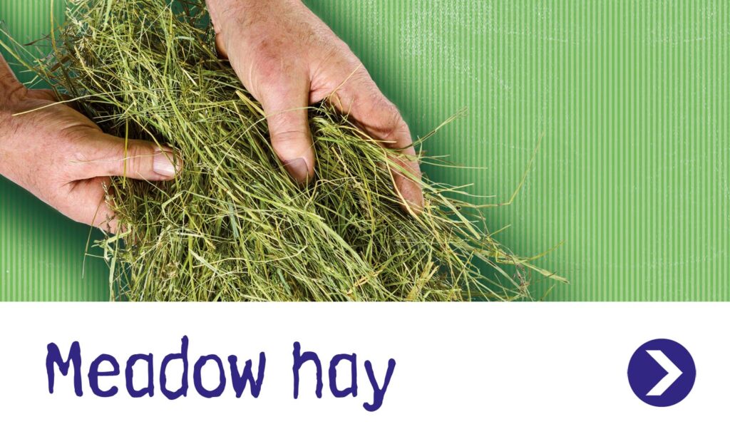 Meadow hay