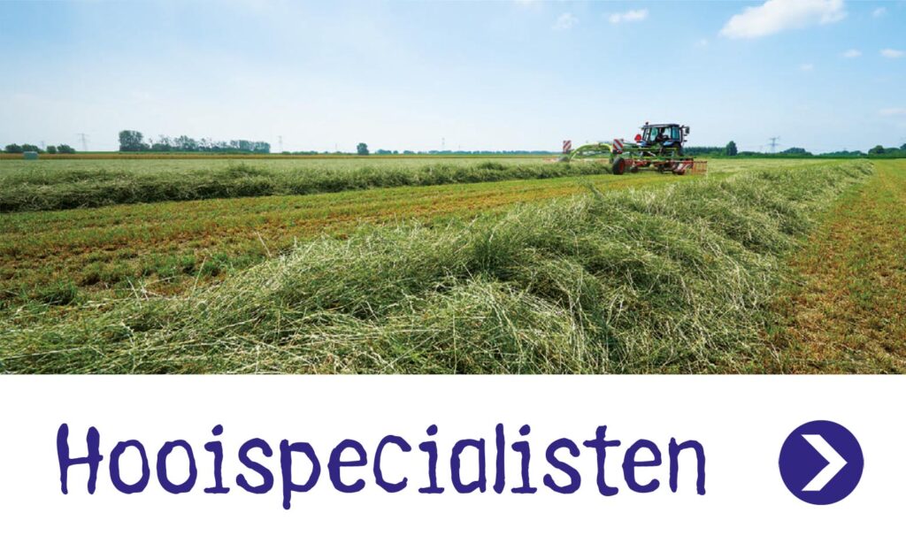 Hooispecialisten