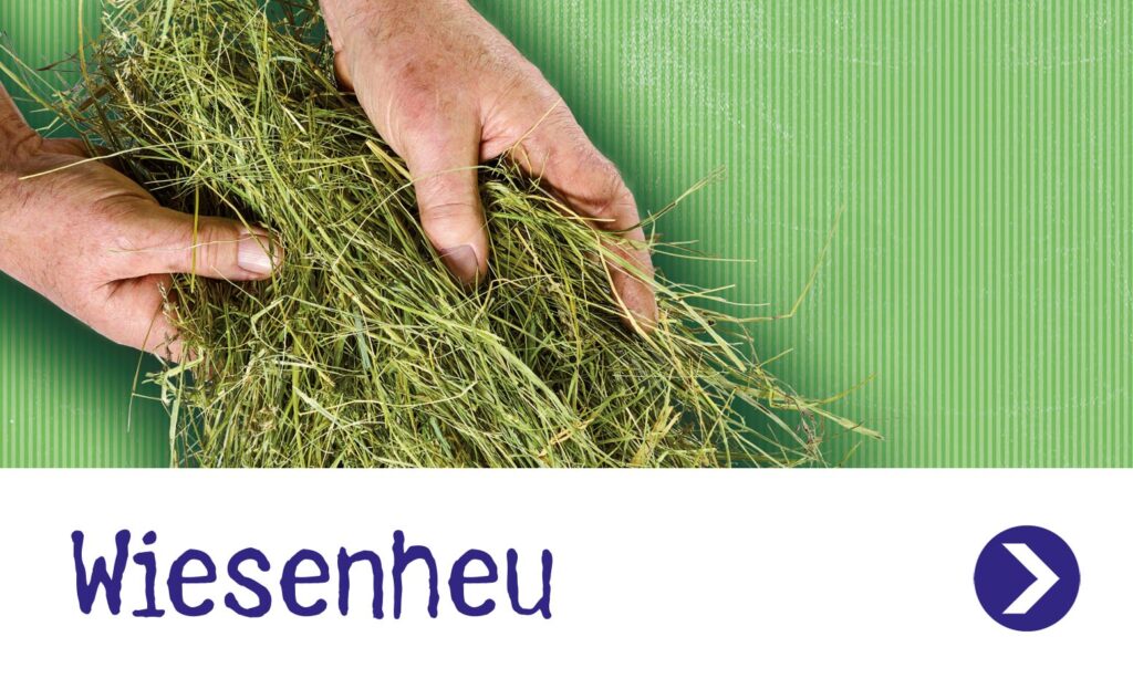 Wiesenheu