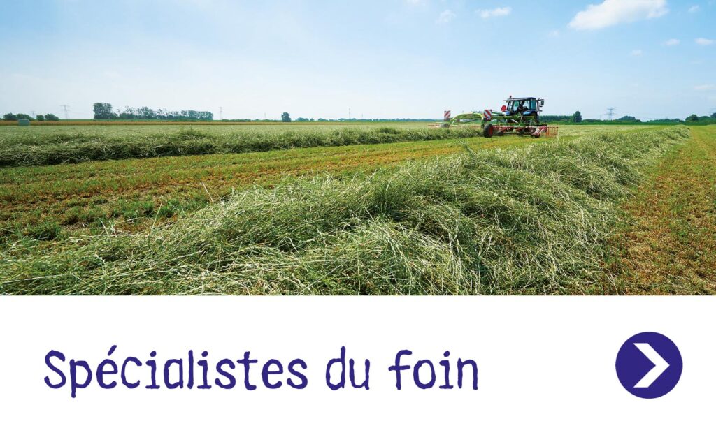 Spécialistes du foin