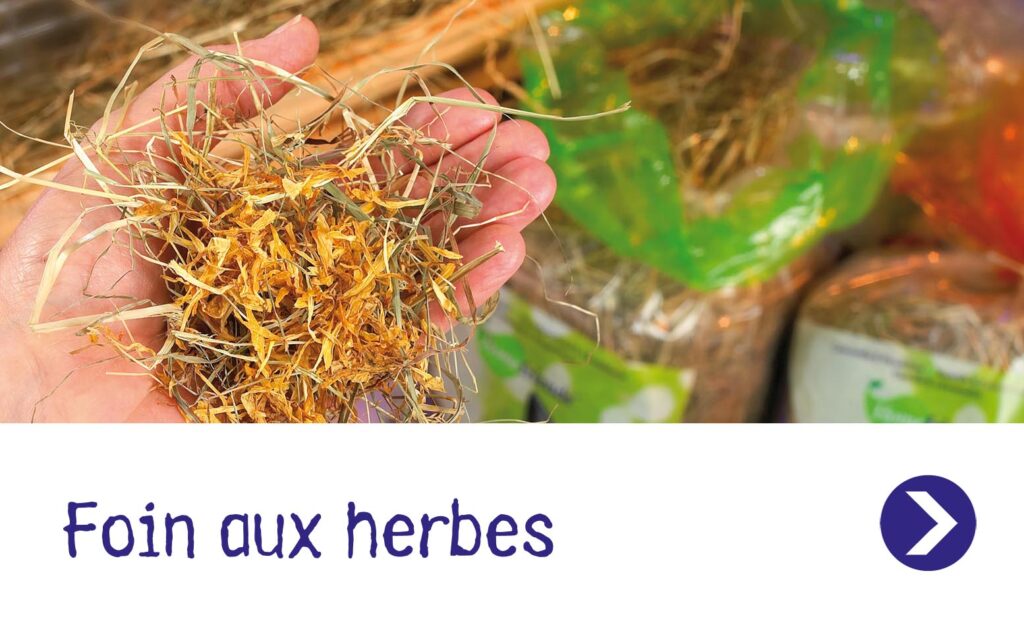 Foin aux herbes