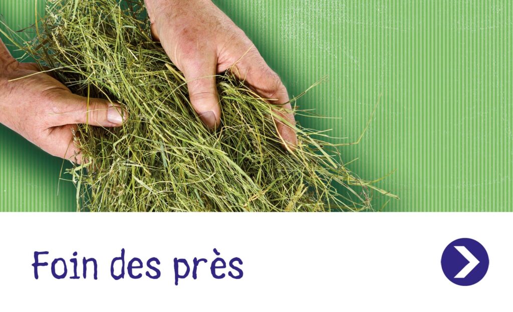 Foin des près