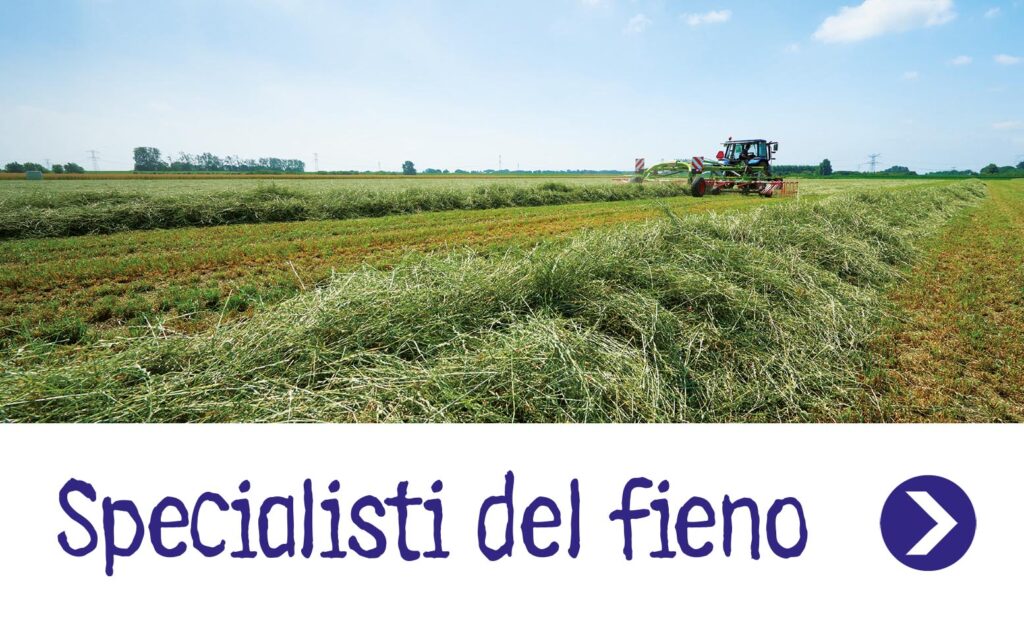 Specialisti del fieno