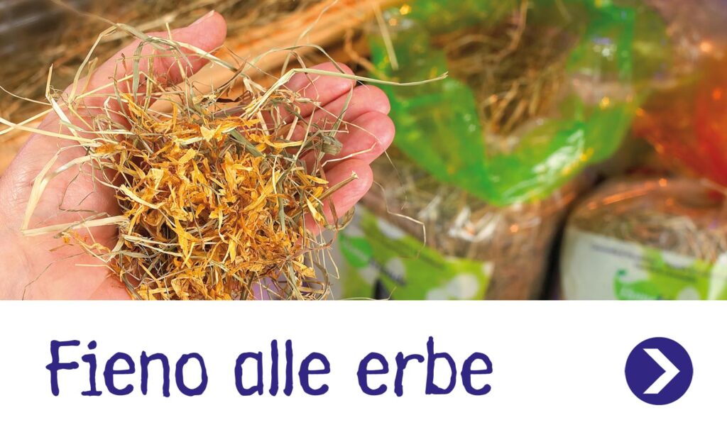 Fieno alle erbe